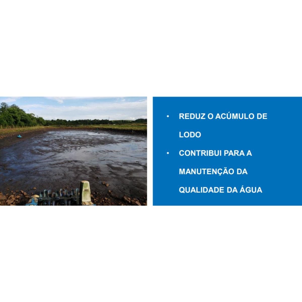 Slud G Boost Piscicultura Nch - 5 Litros