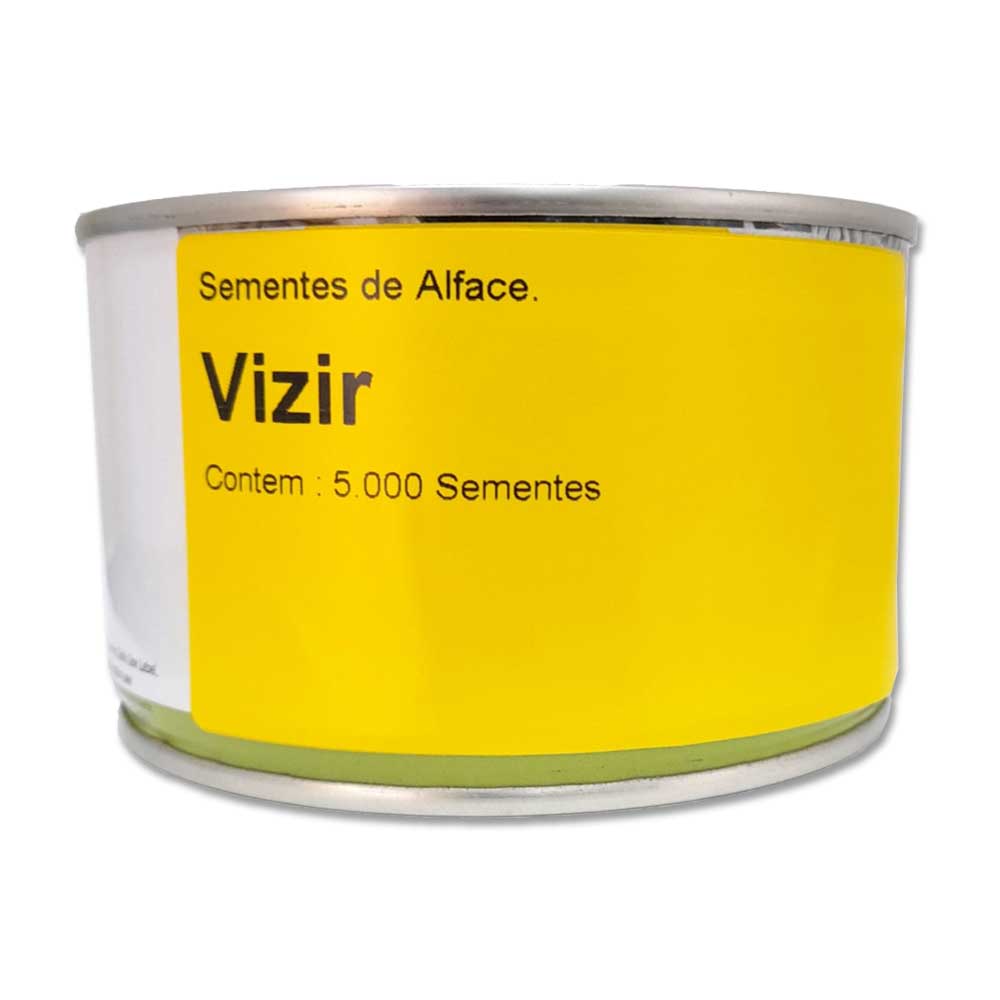 Sementes De Alface Mimosa Vizir Enza Zaden - 5mx