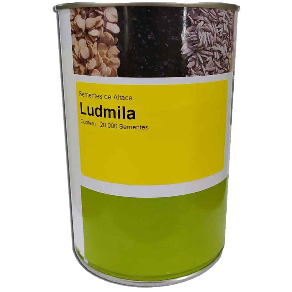 Sementes De Alface Americana Ludmila Enza Zaden - Lata 20mx