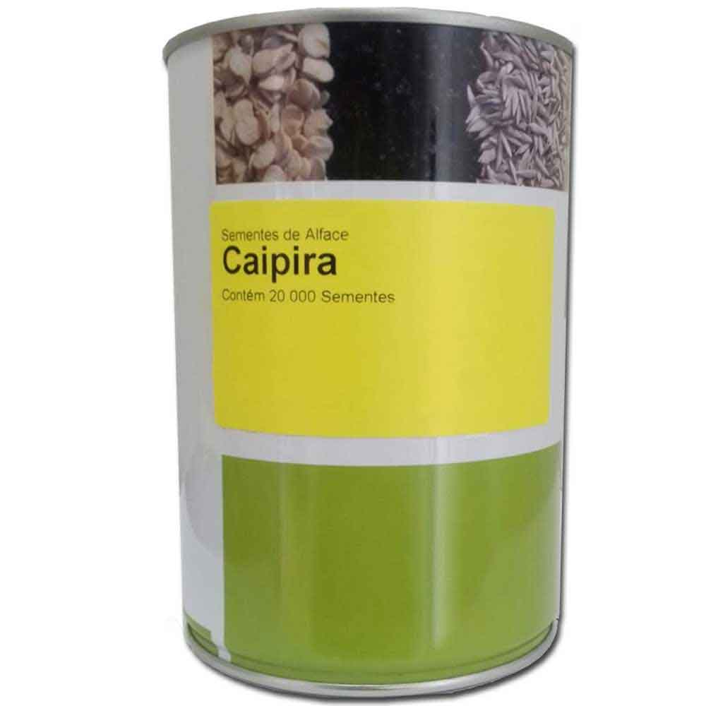 Sementes de Alface Crespa Caipira - 20Mx - Enza Zaden | InstaAgro