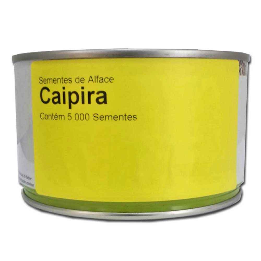 Sementes De Alface Crespa Caipira Enza Zaden - 5mx