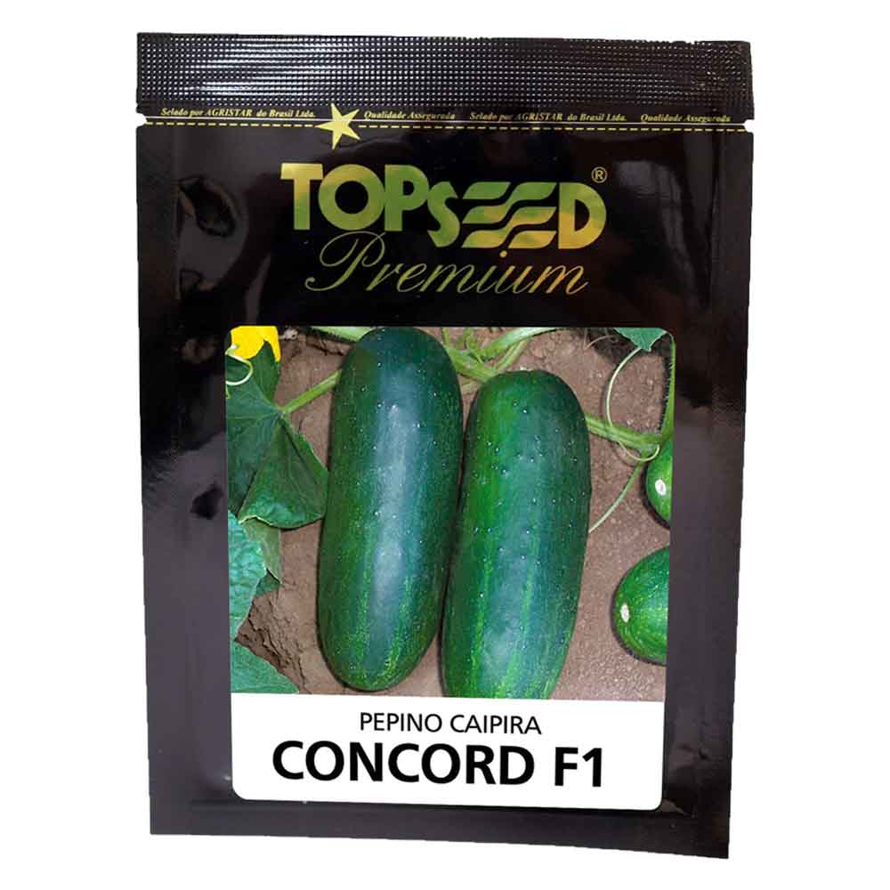 Sementes De Pepino Caipira Híbrido Concord F1 Topseed Premium